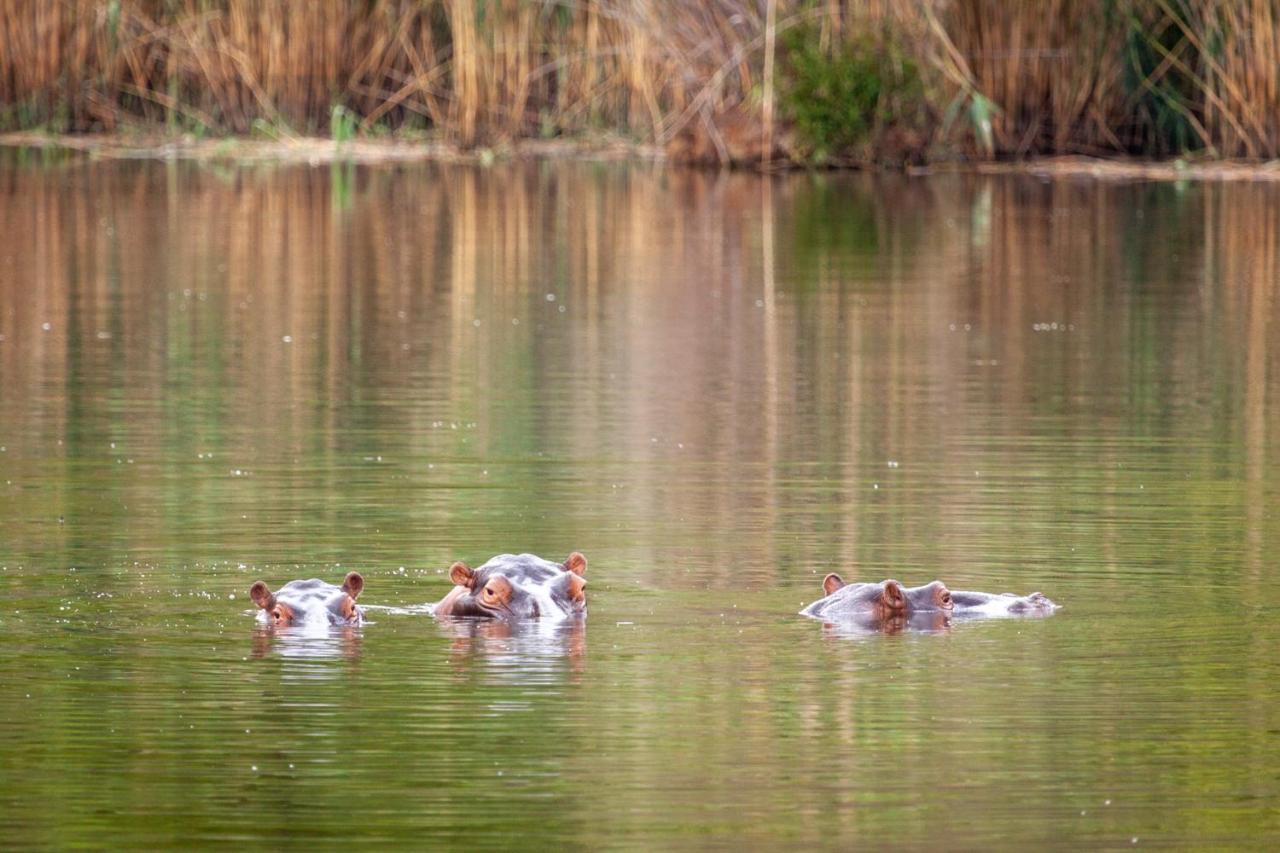 Lejwe La Metsi Private Reserve Bela-Bela Exteriör bild